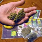 8oct2011_AFP_cannabis_fort_hollande
