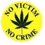 no_victim