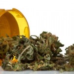 pot_therapeutique